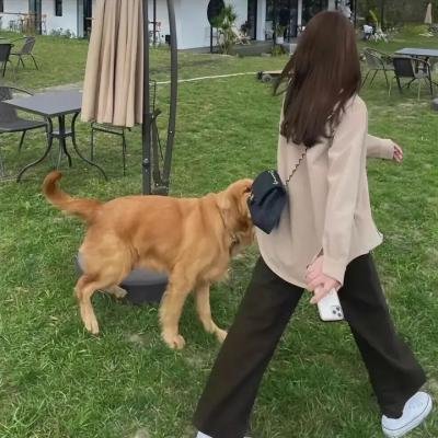 绯闻