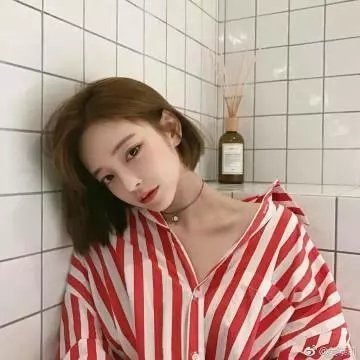 极地情天