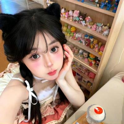 顽皮豹之子